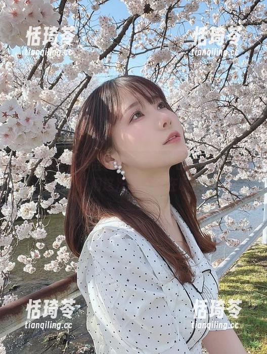 最新图包分享会！けん研的Fantia-2024，我们这次看点何在呢？